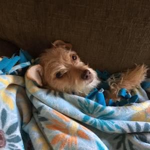 Meet your Posher, Laurie